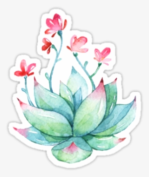 Watercolor Succulent Sticker • Also Buy This Artwork - Watercolor Tumblr Stickers Transparent