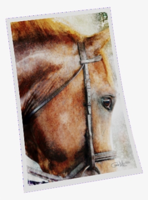 The English Sport Horse Watercolor - Sorrel