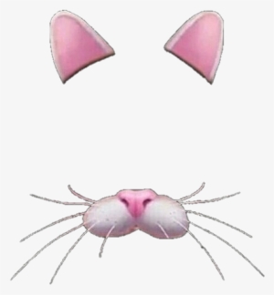 Crown Transparent Transparent Crown Tumblr - Filter Cat Png