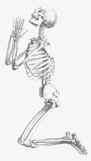 praying holiday halloween html - william cheselden praying skeleton