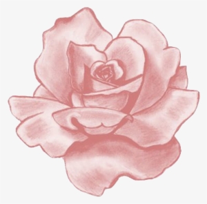Pink Flower Clipart Flower Tumblr - Sticker Rose