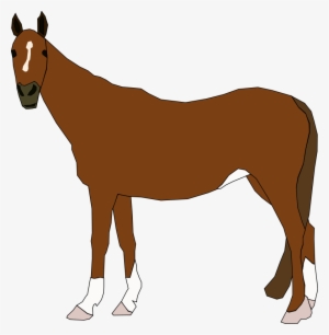 Arabian Horse Pony Equestrianism Clip Art - Horse Clipart Free