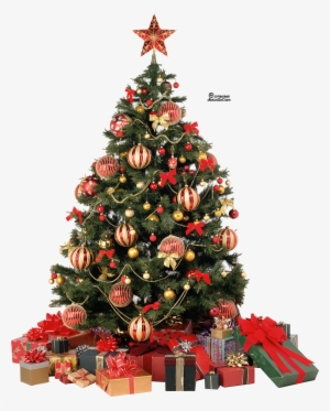 Christmas Tree Png By Camelfobia On Clipart Library - Christmas Tree Png