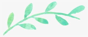 This Graphics Is Watercolor Green Leaf Transparent - Png Clipart Flower Calligraphy