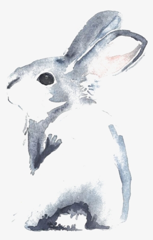Vector Black And White Library Cinnamon Rabbit Watercolour - Rabbit Watercolor Painting
