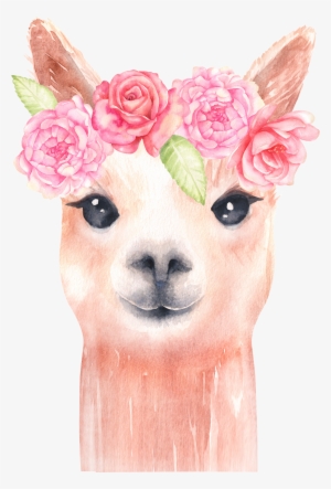 Alpaca And Flower Clipart/ Llama Clip Art/ Watercolor - Watercolor Llama
