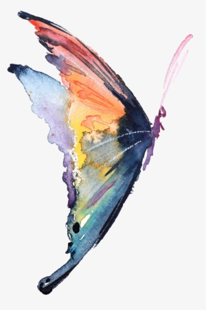 Watercolor Butterfly Png - Watercolour Butterfly Illustration Png