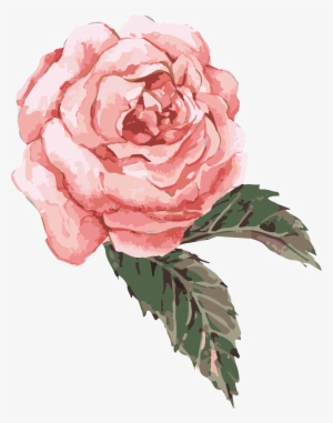 Clip Art Transparent Flower Painting Clip Art Hand - Pink Watercolor Flower