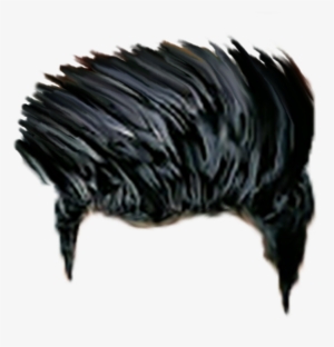 Download Hair, Hair Png, Image Archive, Free Hair, - Download More Hair Png