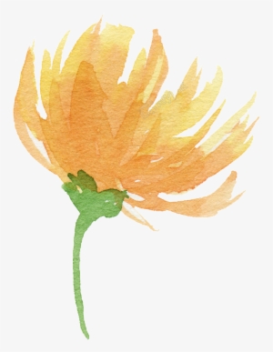 Clip Library For Yellow Watercolor Flowers Free Download - Transparent Watercolor Orange Flower