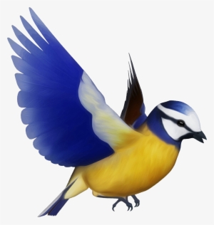 Chidiya Png