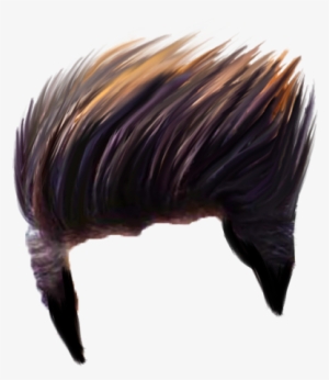 Hair-png - Hair Style For Picsart Transparent PNG - 720x720 - Free Download  on NicePNG