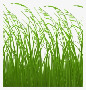 Grass Clipart Logo - Tall Grass Clipart