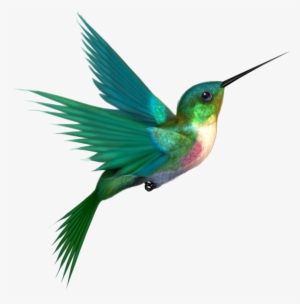 Hummingbird Quality Png Picture - Hummingbirds Png