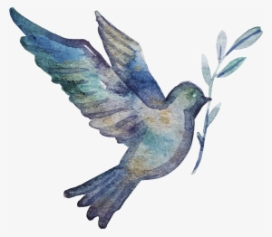 Clip Stock Communion Vector Hand Painted Bird Transprent - Watercolor Bird Transparent