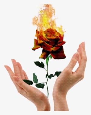 Fire Rose - Aesthetic Hand