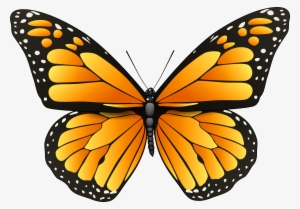 Orange Butterfly Png Clip Art - Orange Butterfly