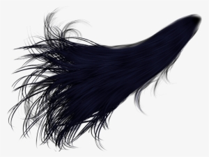 Black Hair Png High-quality Image - Long Black Hair Png