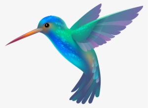 Hummingbird PNG & Download Transparent Hummingbird PNG Images for Free -  NicePNG
