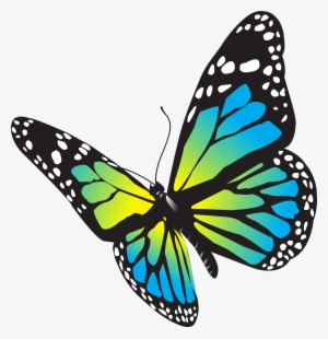 Butterfly Png