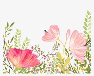 This Backgrounds Is Floral Background Free Vector About - Mallow Family