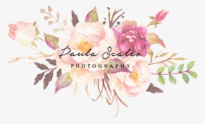 Paula Scalco Photography - Burgundy Watercolor Flowers Png