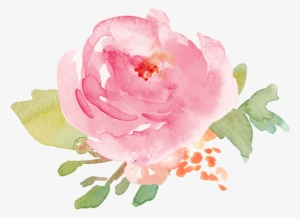 Pink Watercolor Rose Png