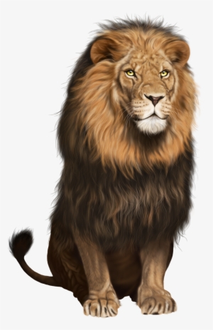 Clipart Lion Transparent Background - Animal Images Hd Png
