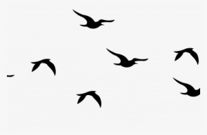 Flying Birds Png Clip Free Library - Portable Network Graphics