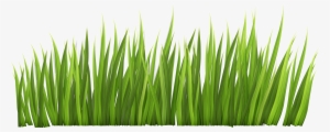 Safari Grass Clipart - Grass Clipart