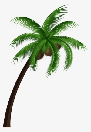 Coconut Palm Tree Png Clip Art