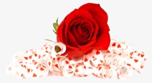 Free Red Rose Png Image - Red Rose Image Png