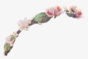 Flower Crown Transparent - Small Flower Crown Png