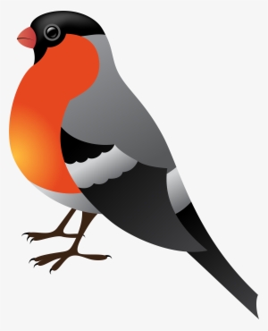 Finch Clipart Bird Png