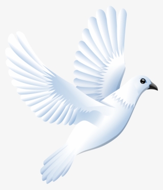 How To Set Use White Dove Clipart