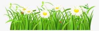 Free Png Grass Vector Png Images Transparent - Green Grass Vector Png