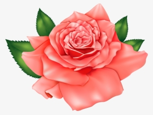 Pink Rose Clipart Peach Rose - Pink Rose Png Clipart