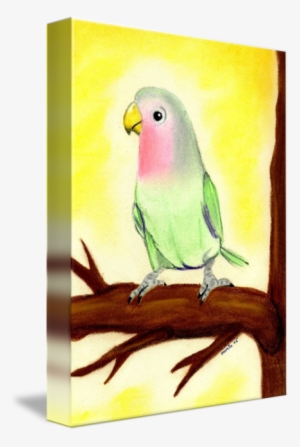 Lovebird Bird Portrait Art Print By Oldetimemercantile - Lovebird
