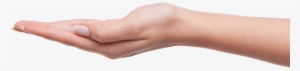 Best Free Hands Transparent Png Image