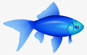 Blue Fish Png - Custom Blue Fish Shower Curtain