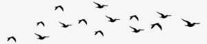 Bird Silhouette Cliparts Free Download Clip Art Free - Flying Bird Silhouette Vector Png