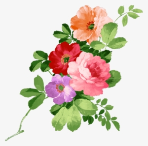 Flowers For Mrs Gof - Happy Birthday Flowers Png