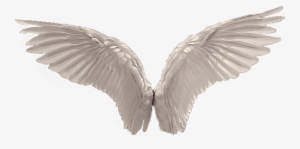White Angel Wings Png - Transparent Angel Wings Png