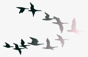 Clipart Images Of Birds Flying In Flight Clip Art At - Birds Flying Away Png