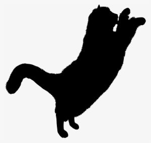 Cats Icon