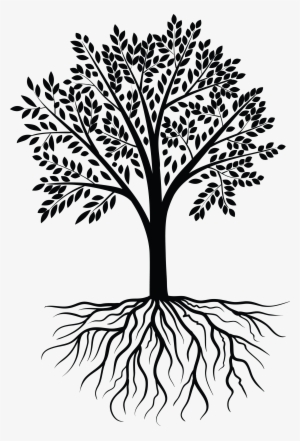 Tree Vector Black White - Transparent Tree With Roots