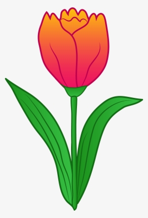Tulip - Tulip Flower Clipart