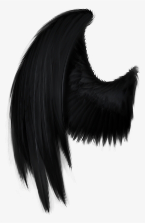 Black Wings Png Download Transparent Black Wings Png Images For Free Nicepng - black wolf with black wings roblox