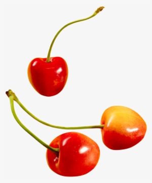 Cherry Png Image - Cherry