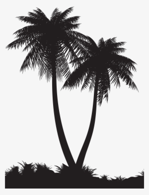 Palm Tree Silhouette Png